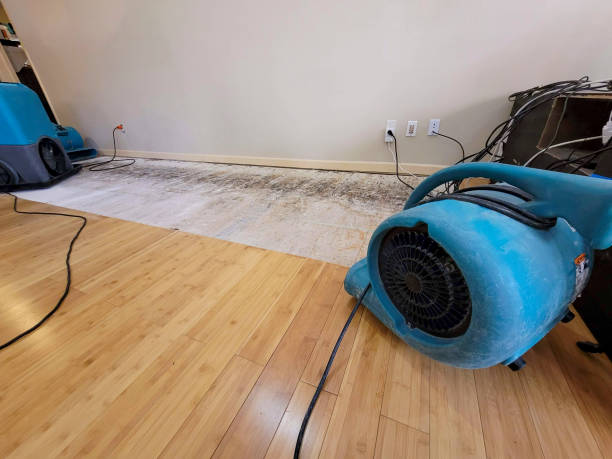 Professional Water Damage Repair technician working in Anderson, MO